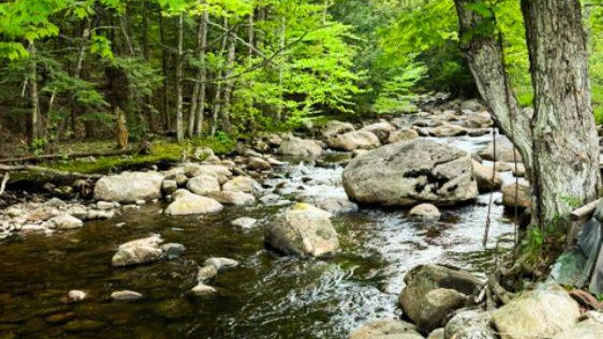Property at 0 Salisbury, Stratford, NY 13470 10