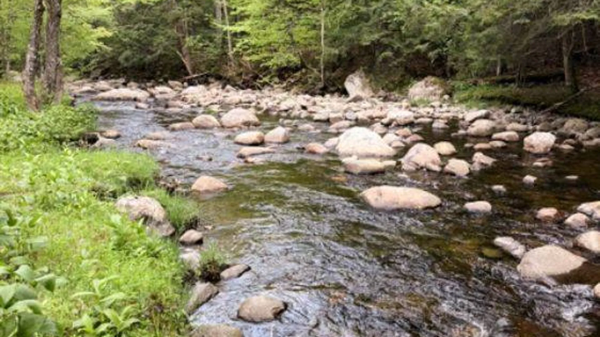 Property at 0 Salisbury, Stratford, NY 13470 11