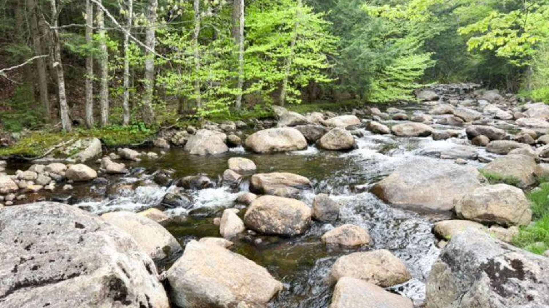 Property at 0 Salisbury, Stratford, NY 13470 12