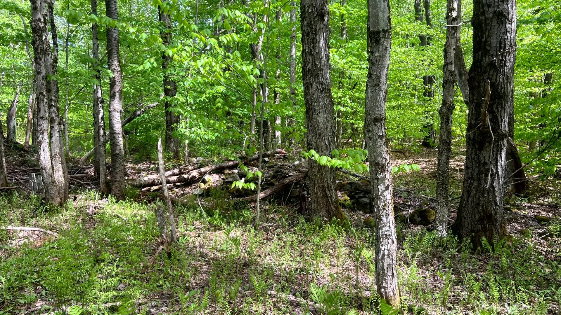 Property at Lot 3 Creek Road, Annsville, NY 13471 4
