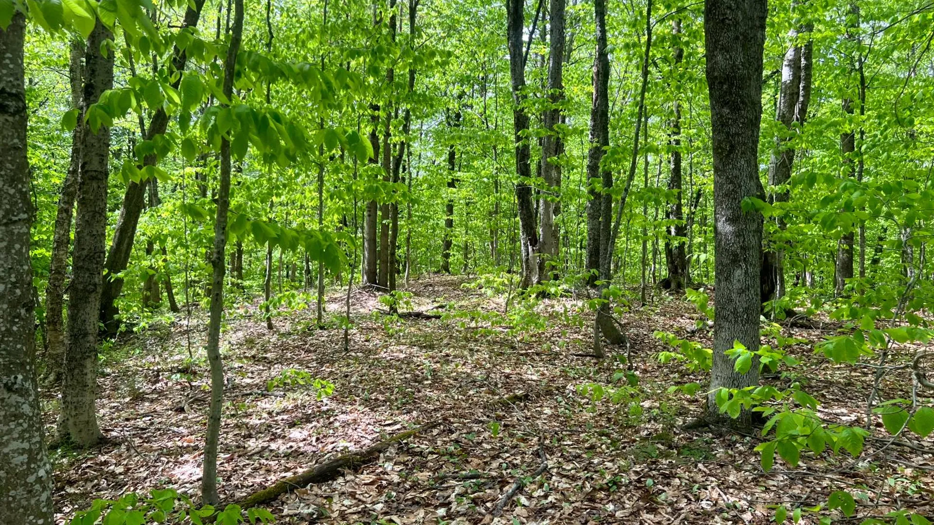 Property at Lot 3 Creek Road, Annsville, NY 13471 5