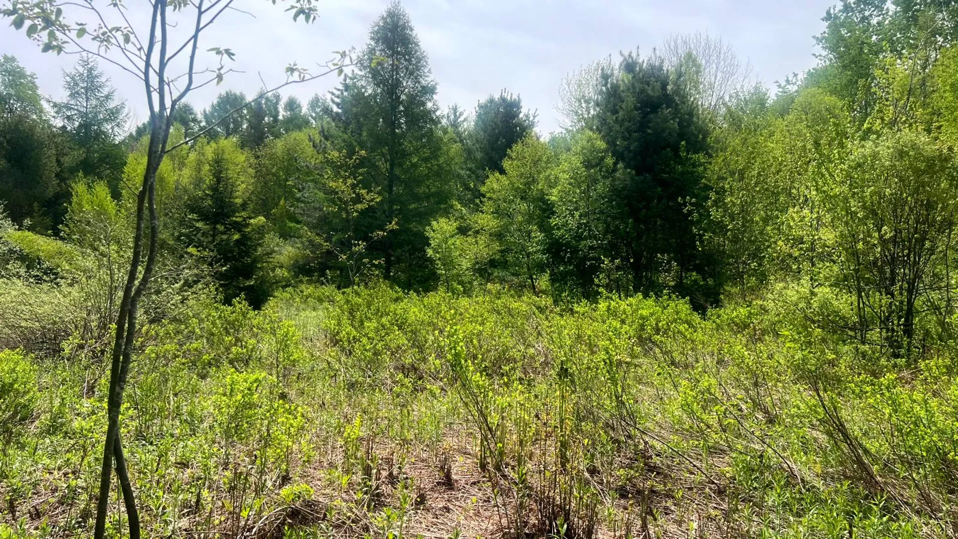 Property at Lot 3 Creek Road, Annsville, NY 13471 6