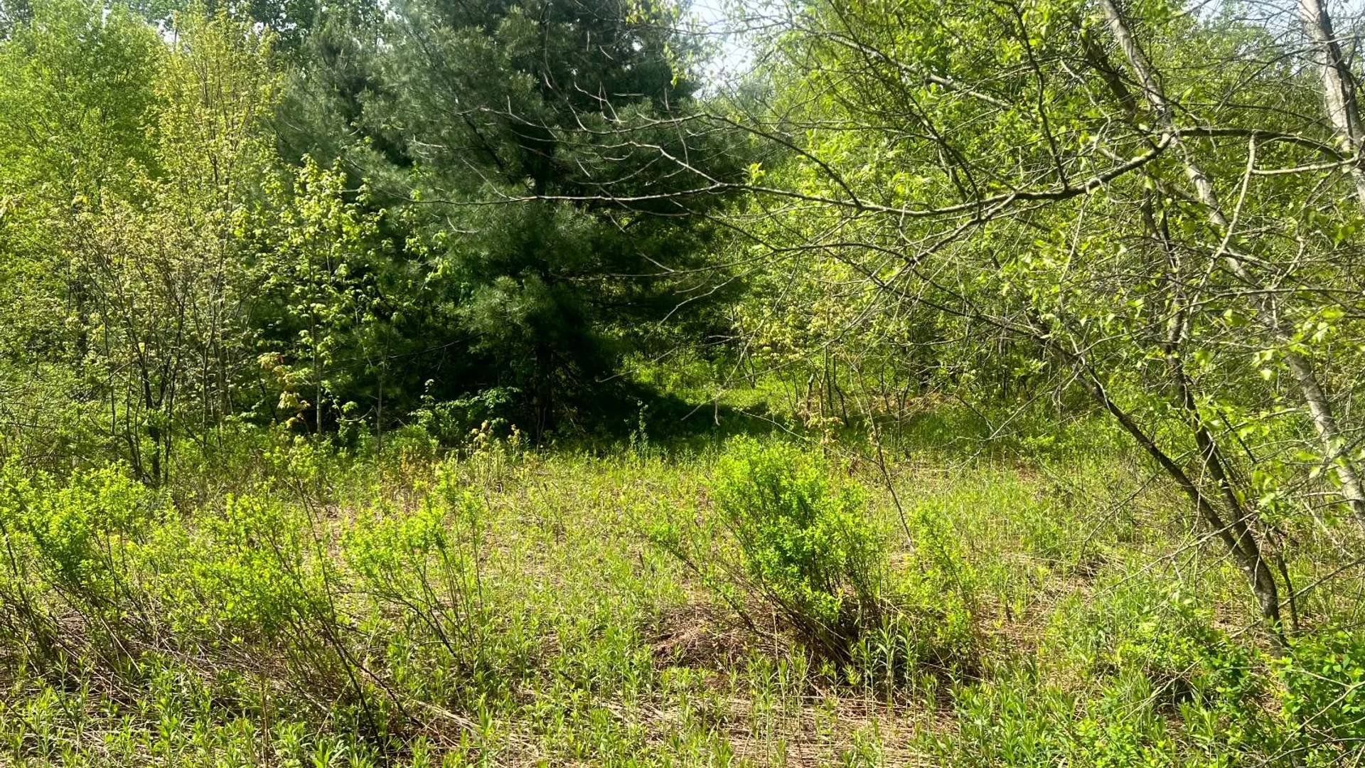 Property at Lot 3 Creek Road, Annsville, NY 13471 7