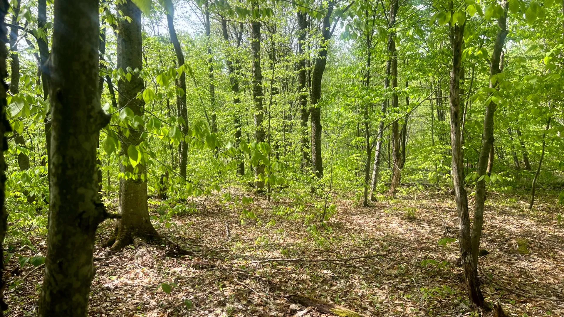 Property at Lot 3 Creek Road, Annsville, NY 13471 8