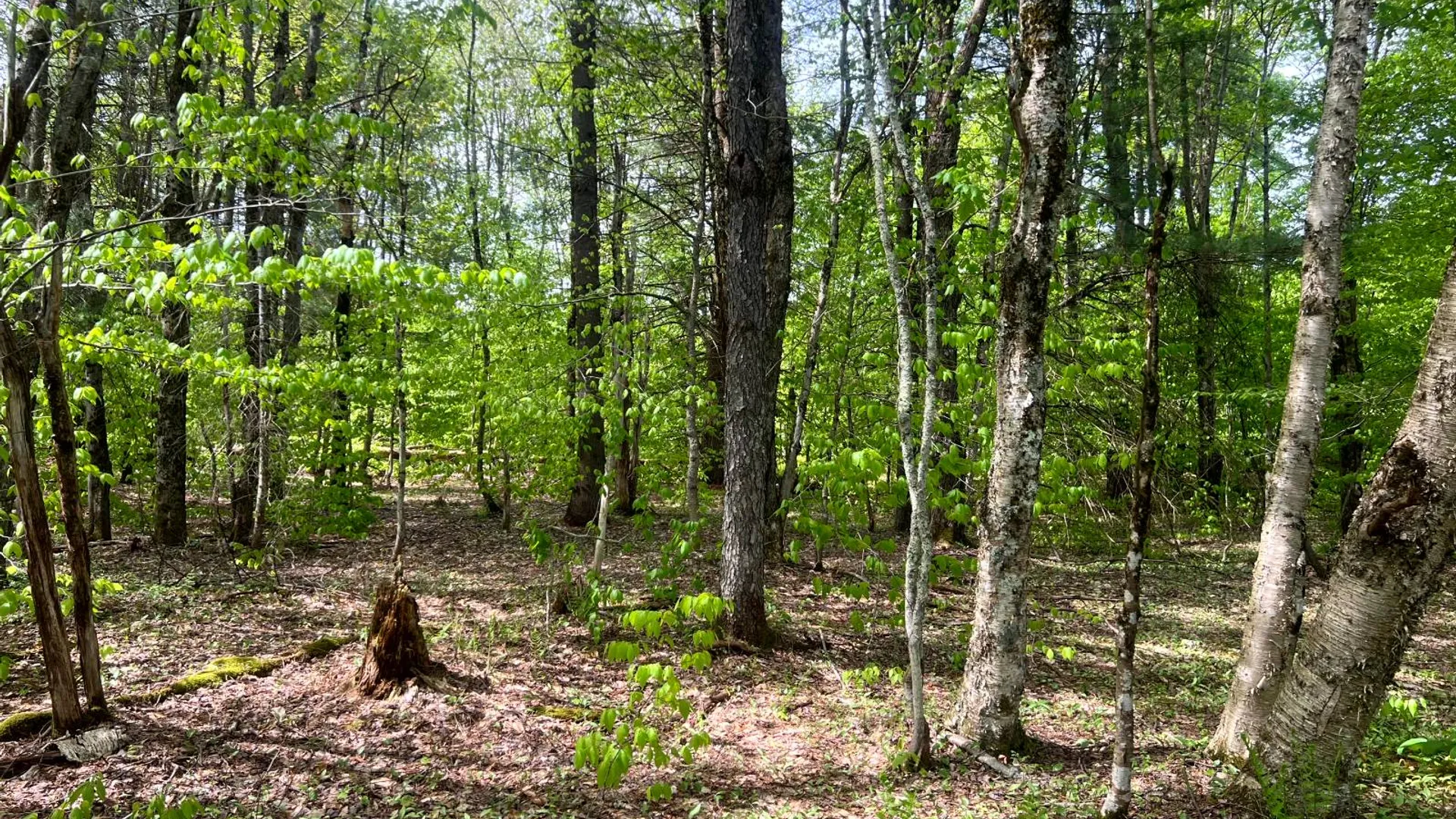 Property at Lot 3 Creek Road, Annsville, NY 13471 10