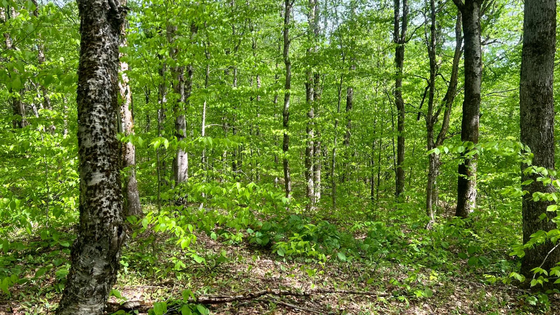 Property at Lot 3 Creek Road, Annsville, NY 13471 17