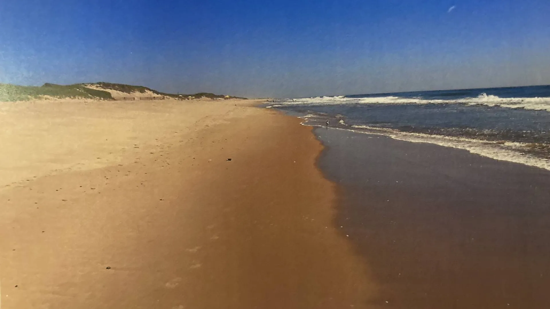 Property at 2136 Montauk Highway, Amagansett, NY 11930 49
