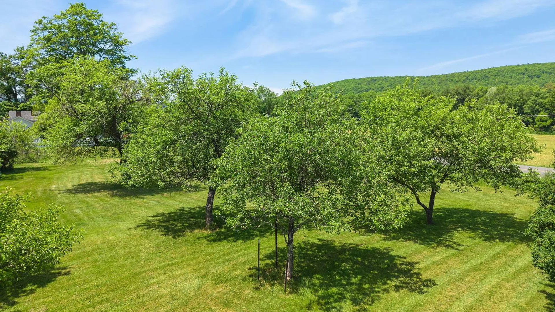 Property at 872 County Hwy 35, Maryland, NY 12116 65