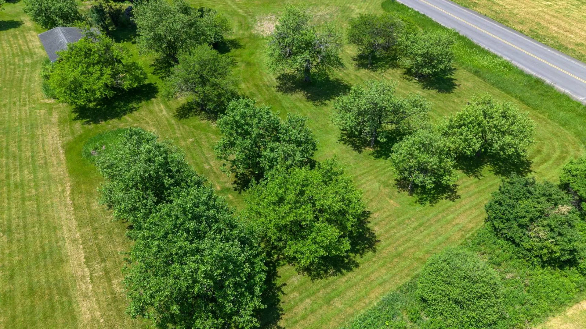 Property at 872 County Hwy 35, Maryland, NY 12116 66