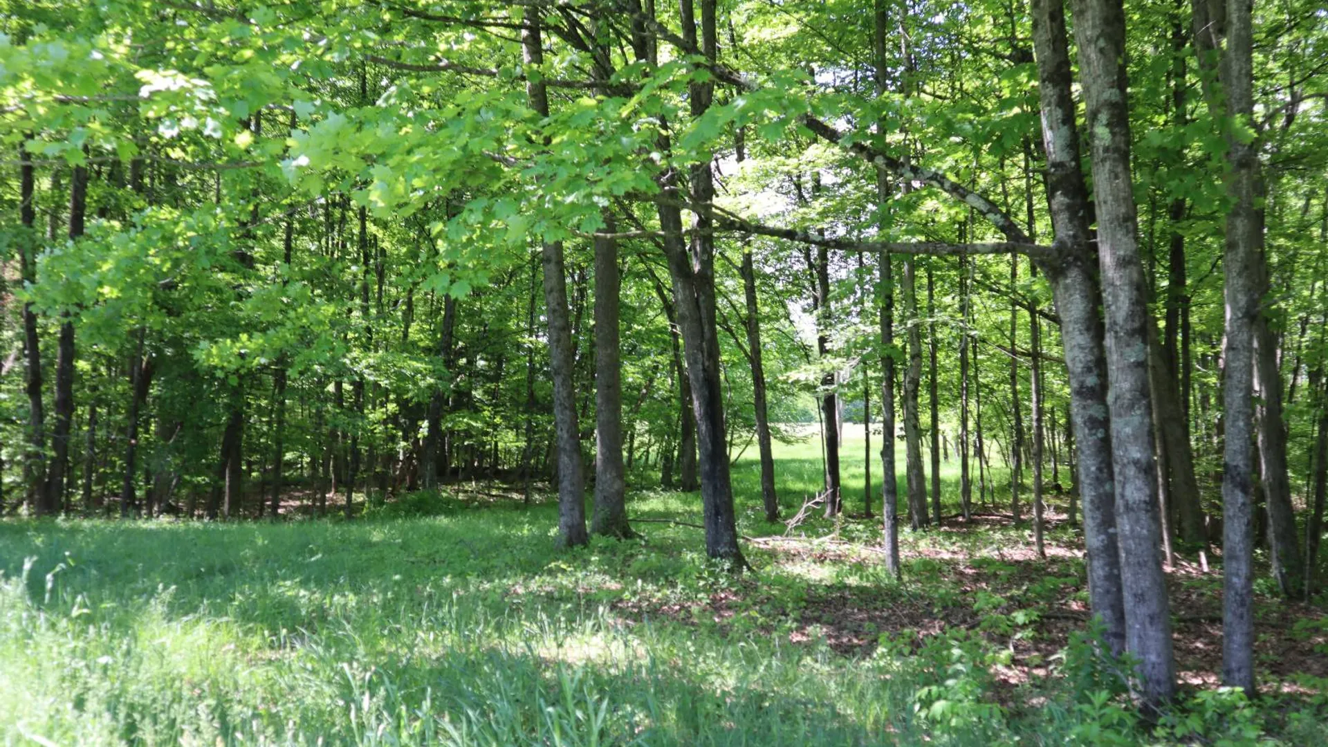 Property at 1162 Moore Rd, Greenwich, NY 12834 9