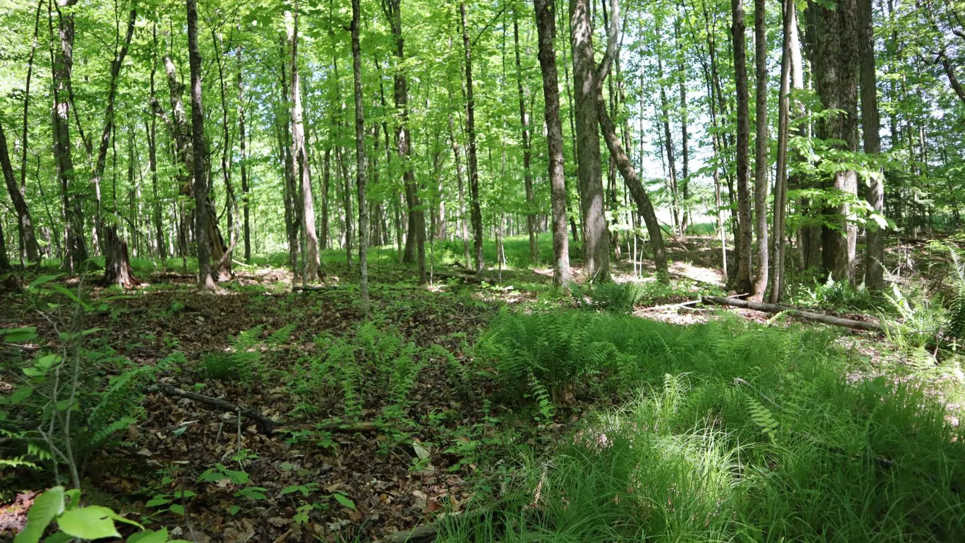Property at 1162 Moore Rd, Greenwich, NY 12834 10