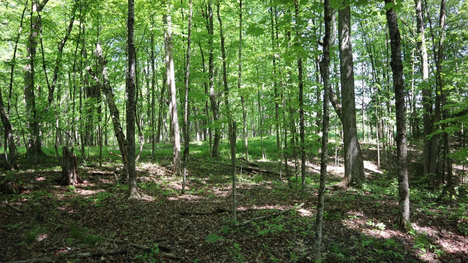 Property at 1162 Moore Rd, Greenwich, NY 12834 12