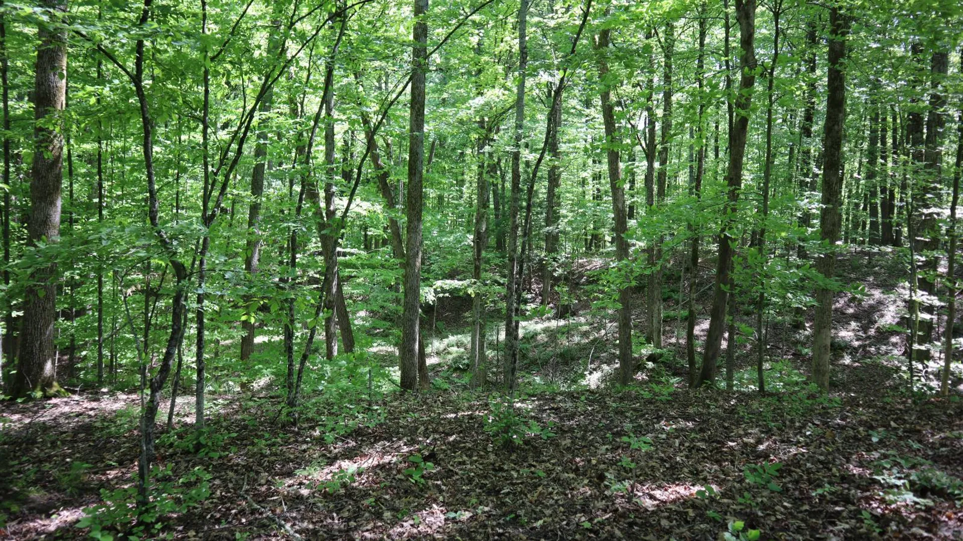 Property at 1162 Moore Rd, Greenwich, NY 12834 14