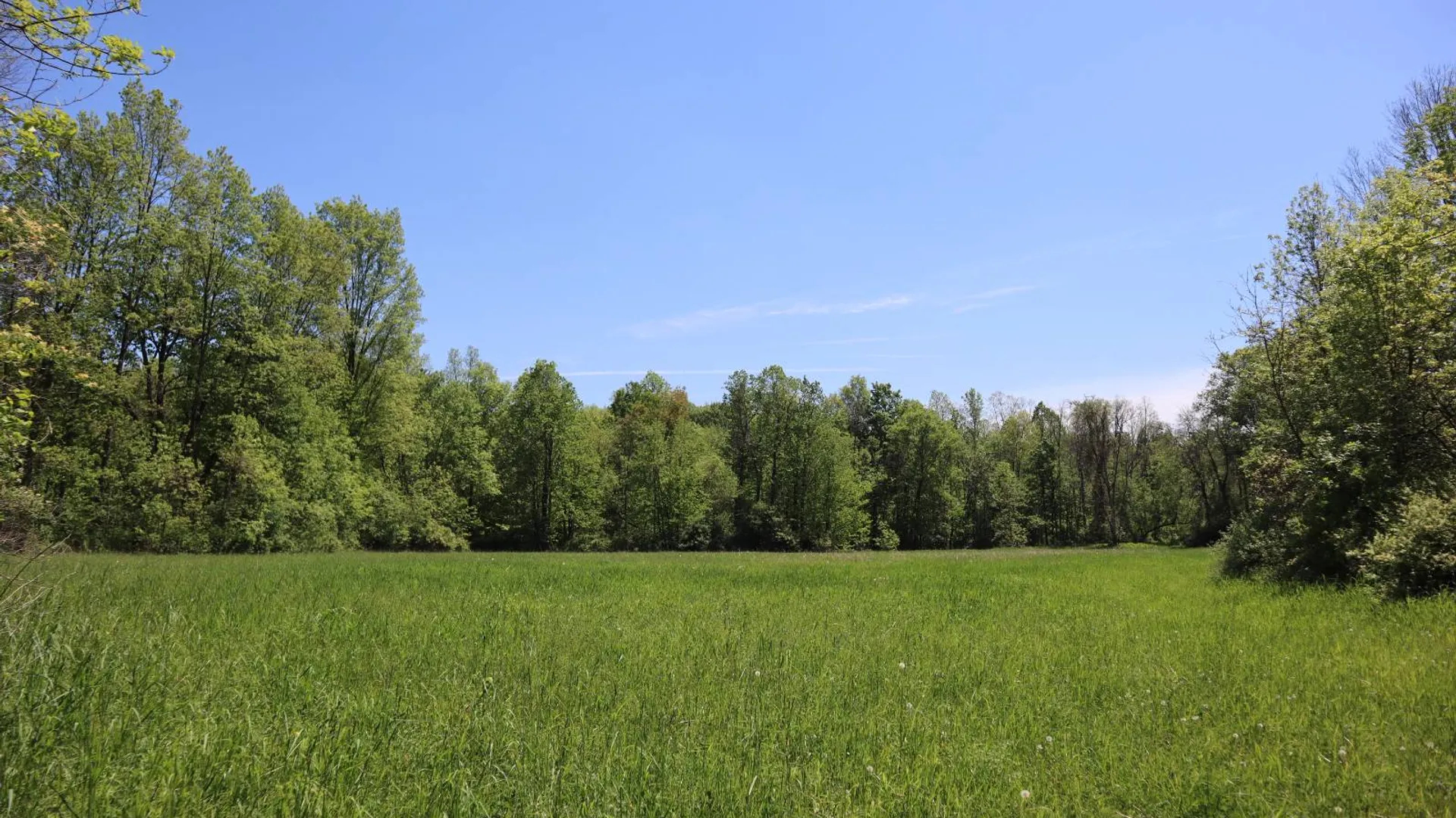Property at 1162 Moore Rd, Greenwich, NY 12834 16