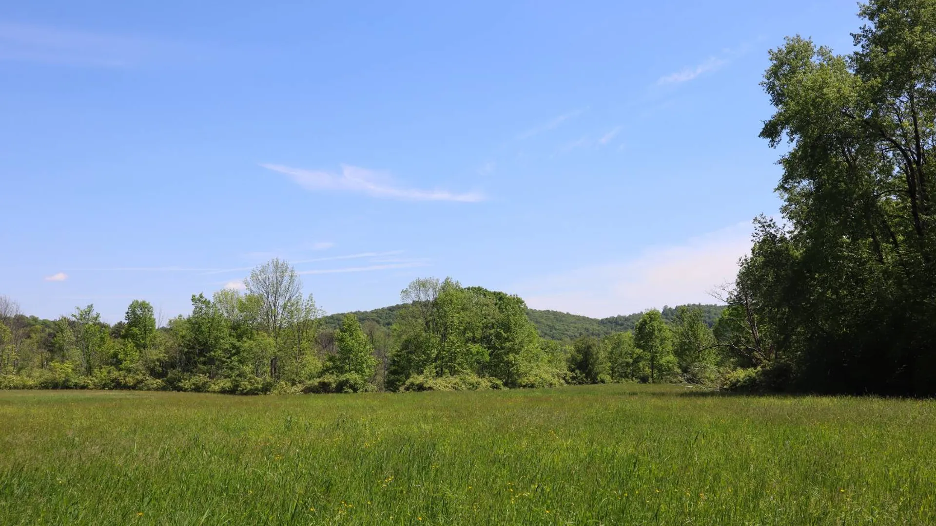 Property at 1162 Moore Rd, Greenwich, NY 12834 17