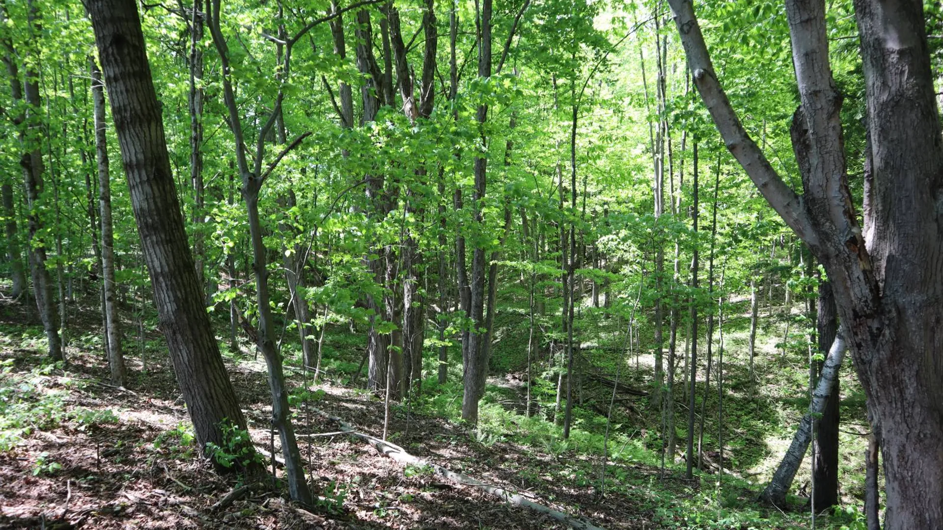 Property at 1162 Moore Rd, Greenwich, NY 12834 18