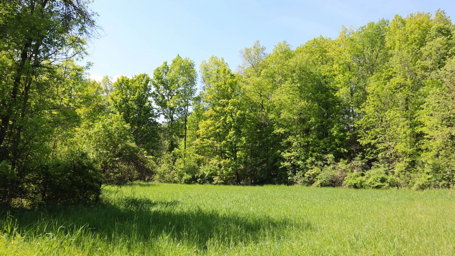 Property at 1162 Moore Rd, Greenwich, NY 12834 21