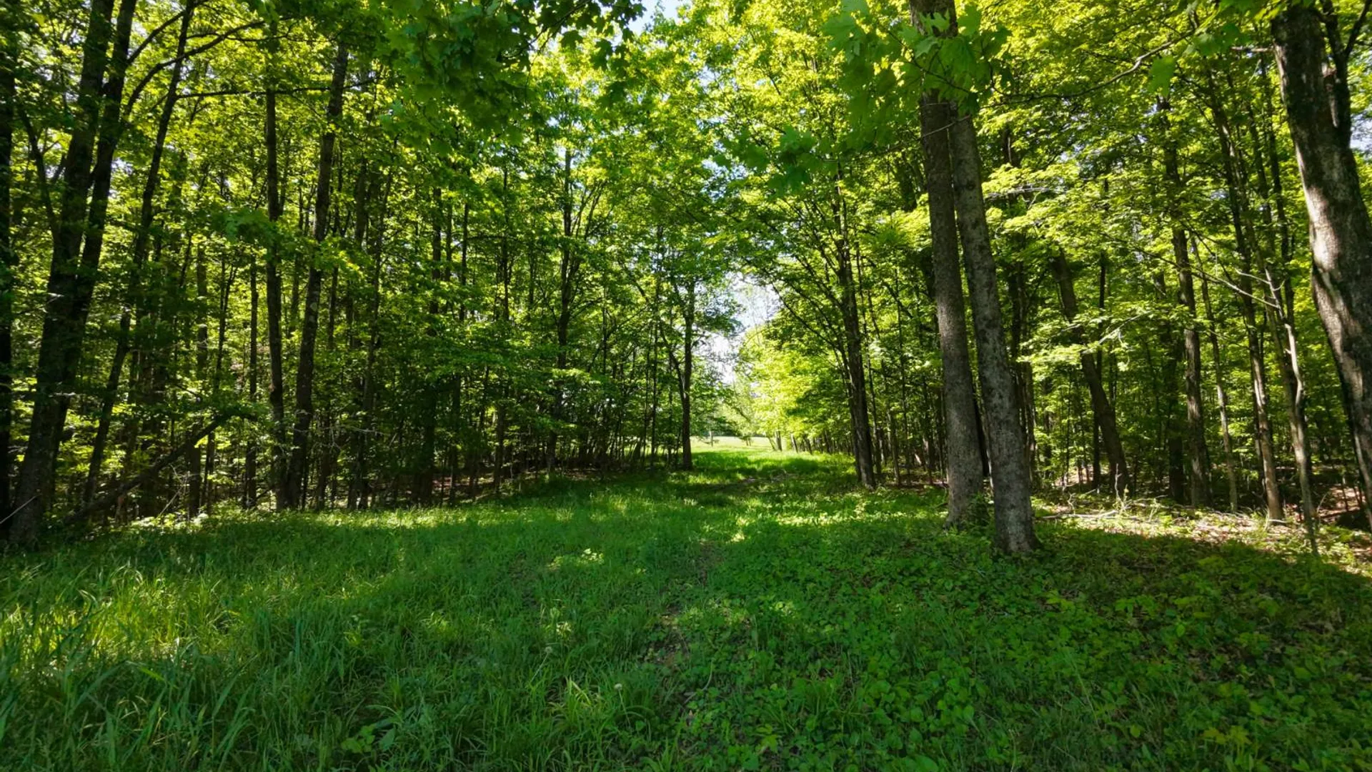 Property at 1162 Moore Rd, Greenwich, NY 12834 24