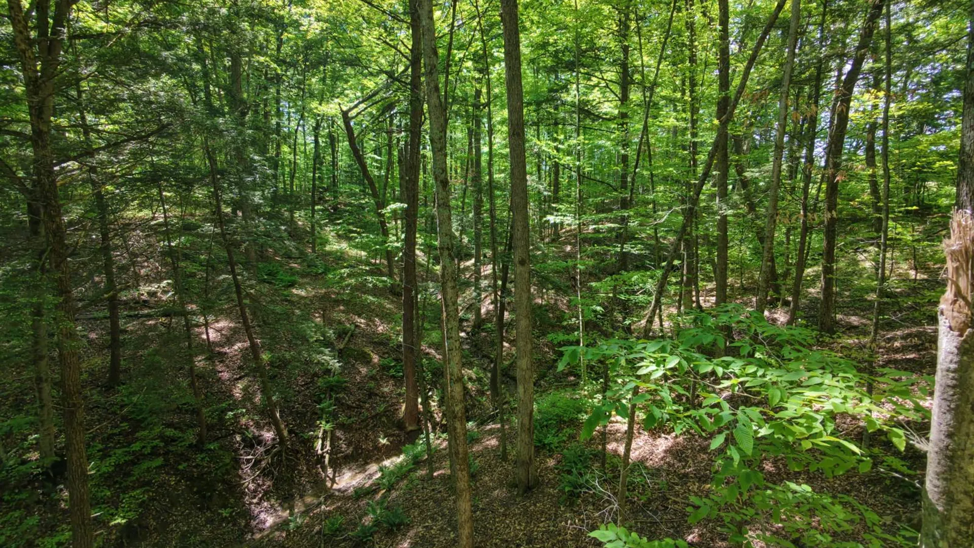 Property at 1162 Moore Rd, Greenwich, NY 12834 29