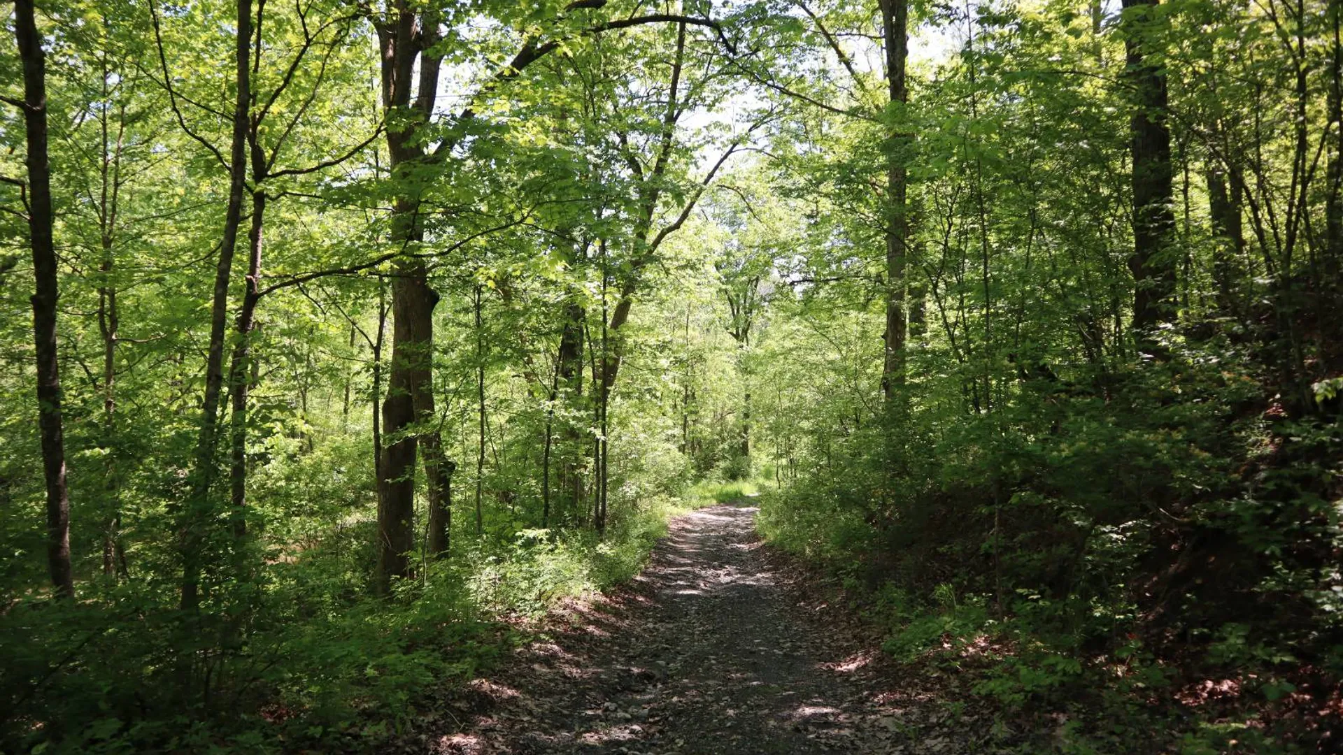 Property at 1162 Moore Rd, Greenwich, NY 12834 31