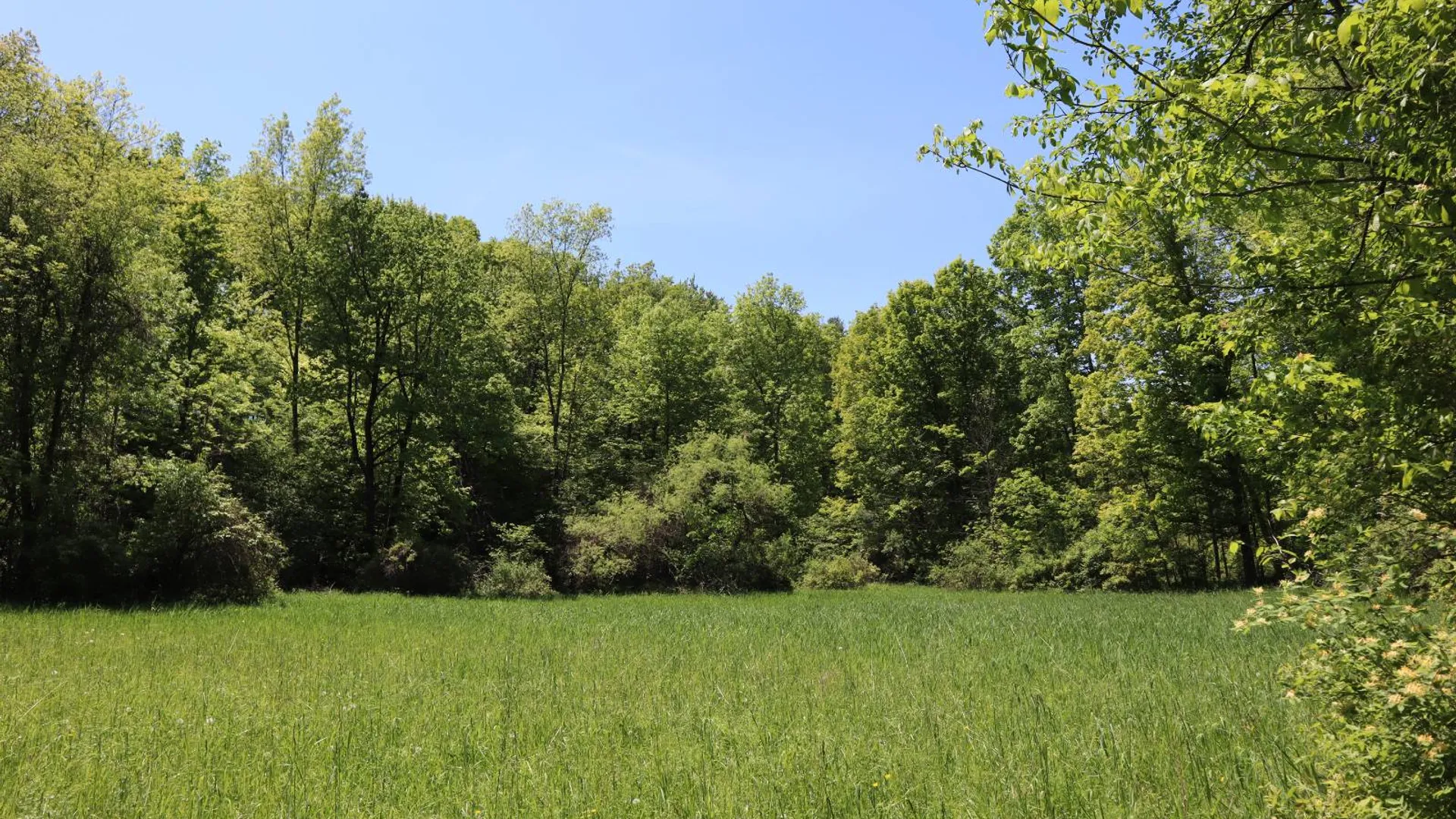 Property at 1162 Moore Rd, Greenwich, NY 12834 32