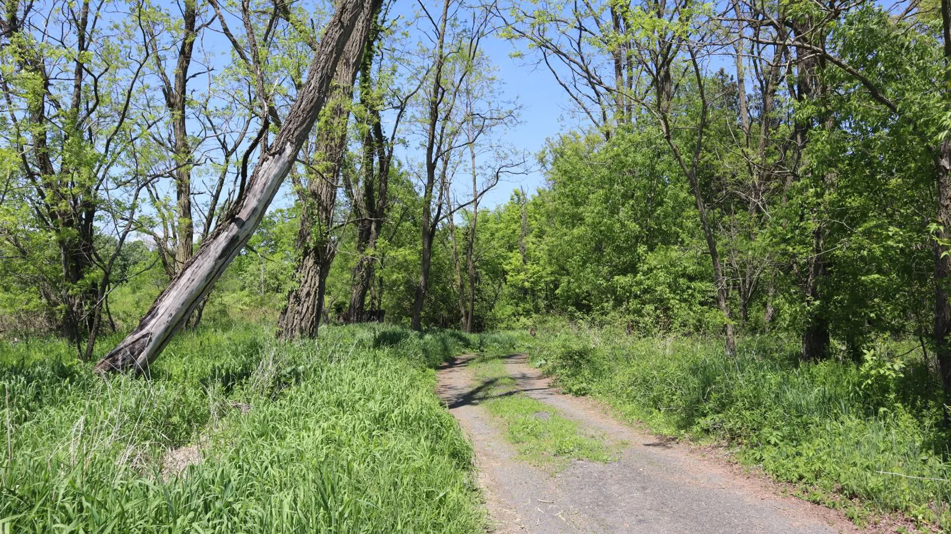 Property at 1162 Moore Rd, Greenwich, NY 12834 33