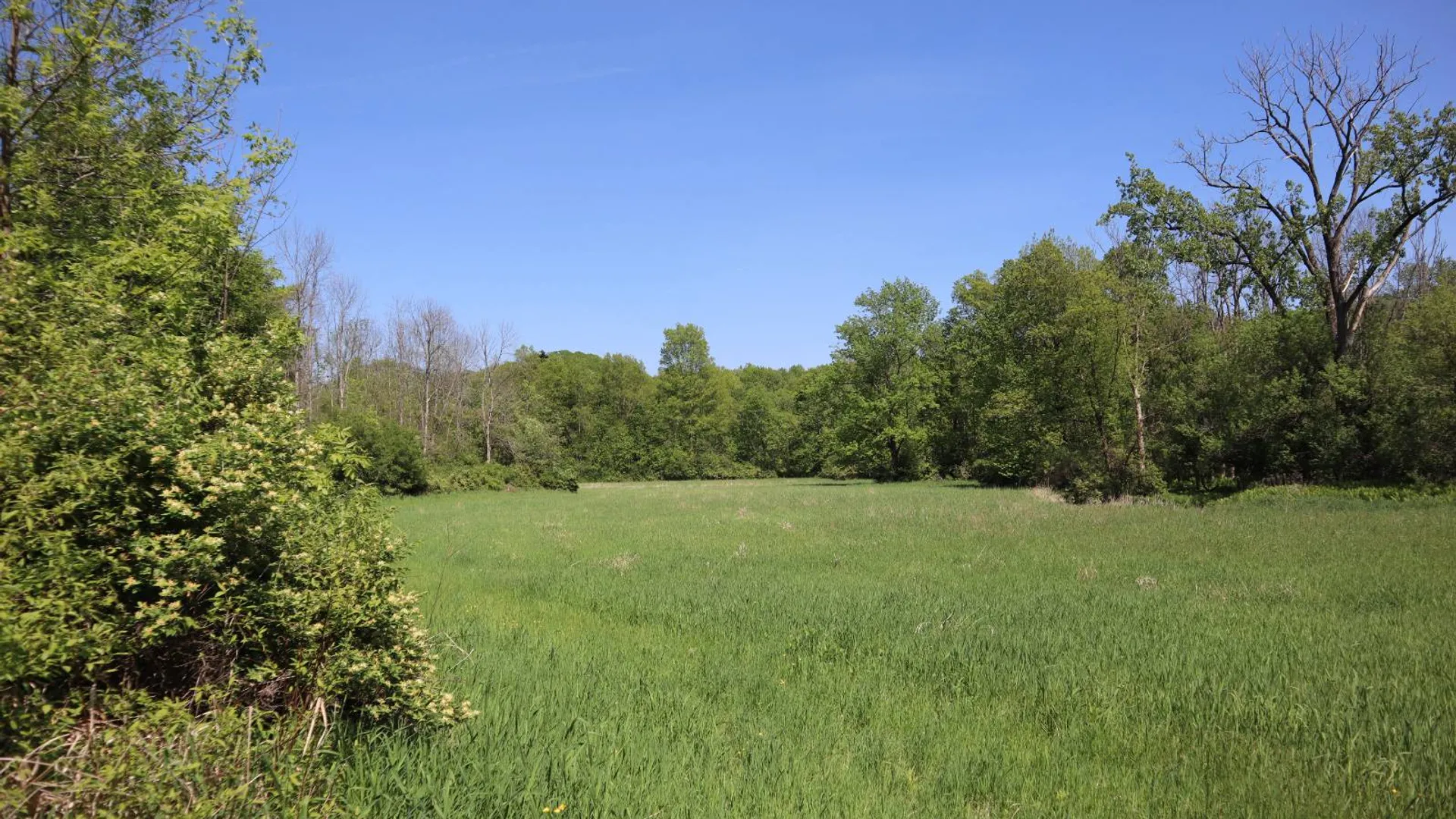 Property at 1162 Moore Rd, Greenwich, NY 12834 37