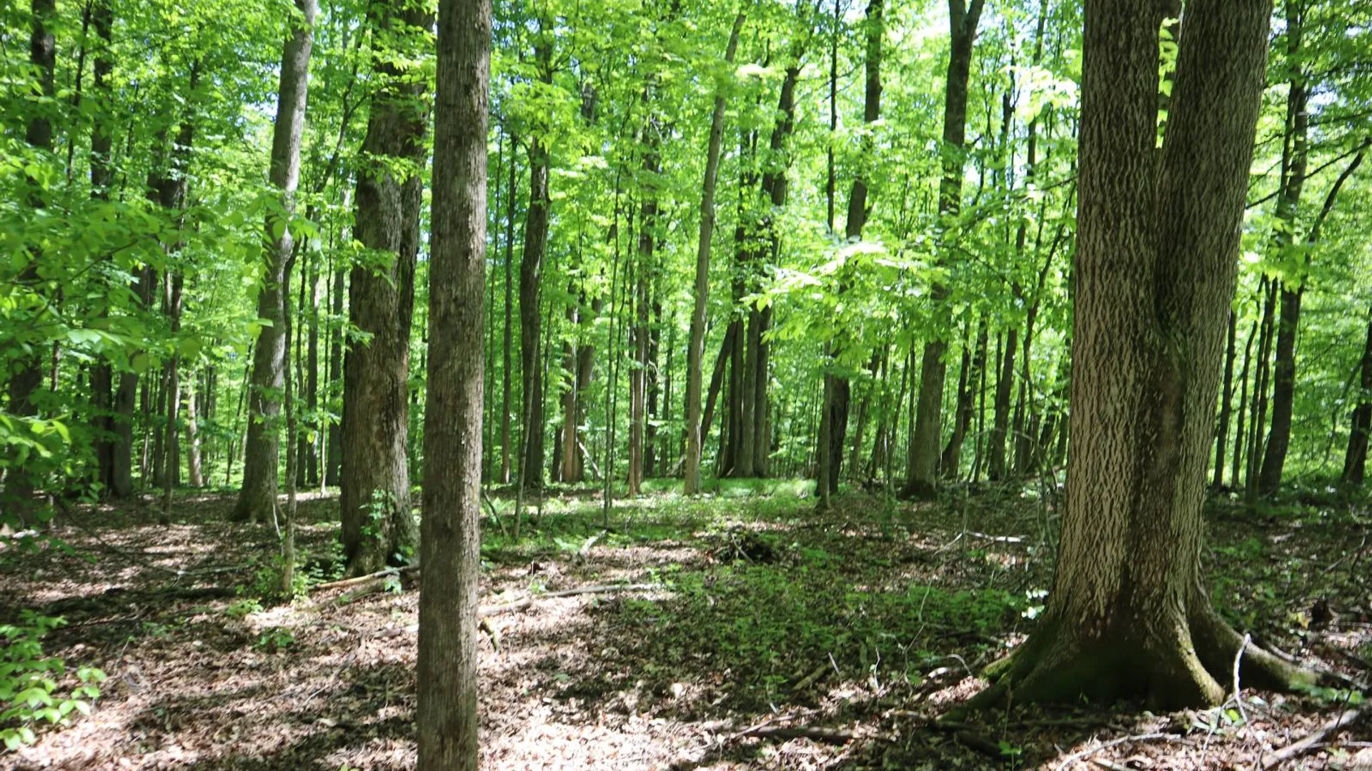 Property at 1162 Moore Rd, Greenwich, NY 12834 39