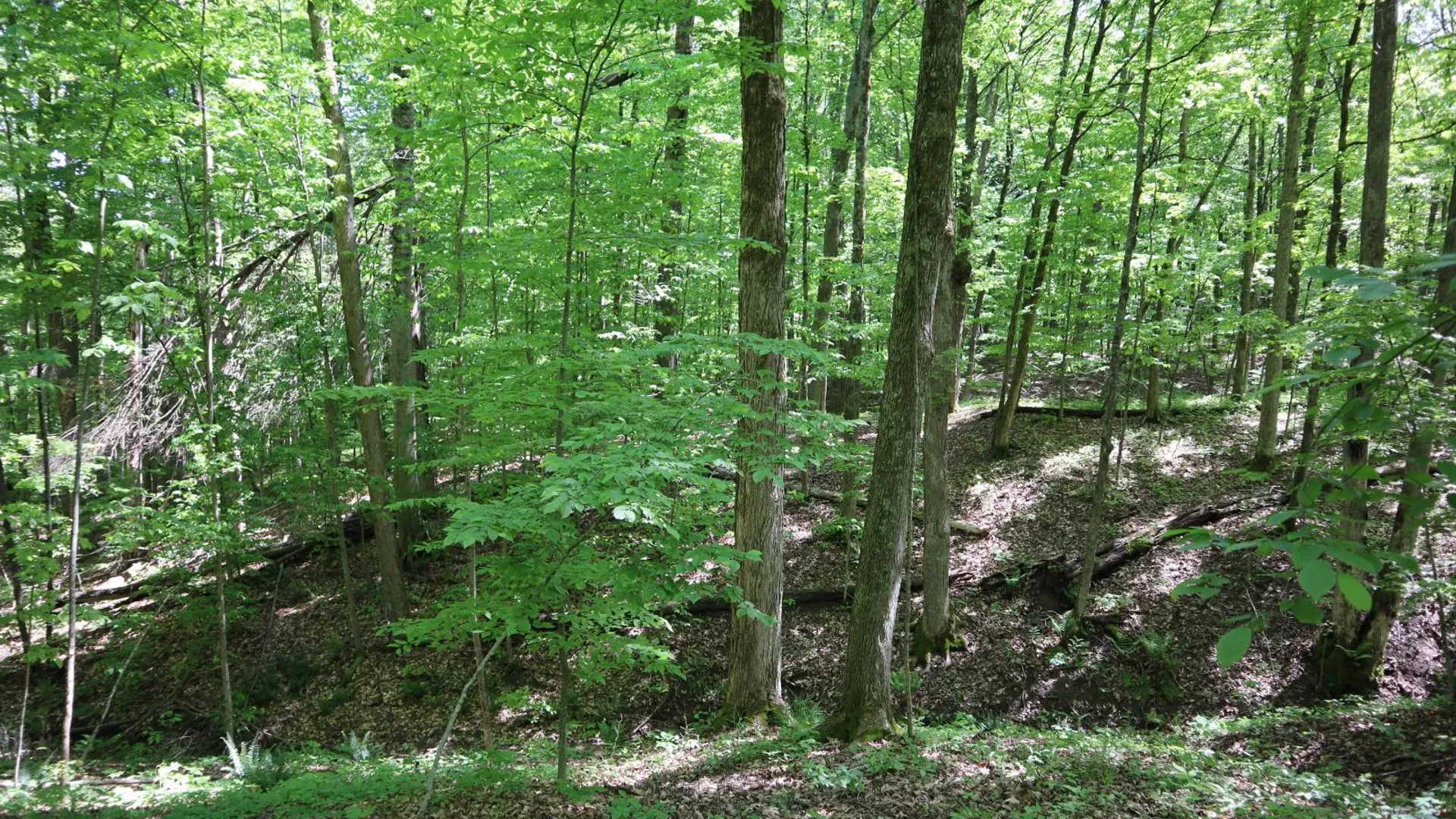 Property at 1162 Moore Rd, Greenwich, NY 12834 41