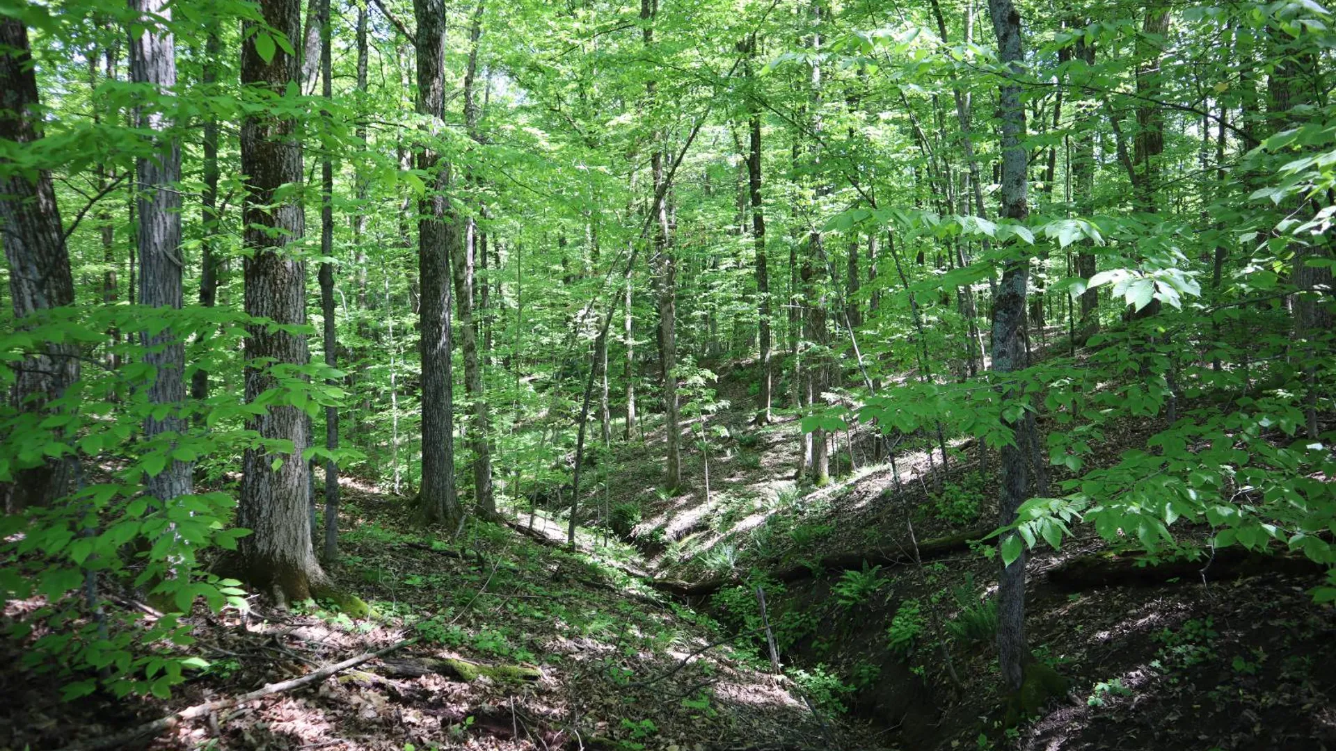 Property at 1162 Moore Rd, Greenwich, NY 12834 43