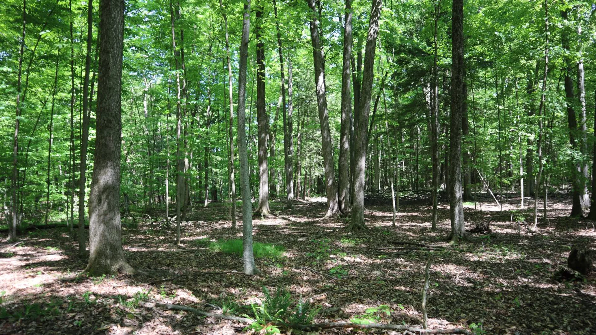 Property at 1162 Moore Rd, Greenwich, NY 12834 45