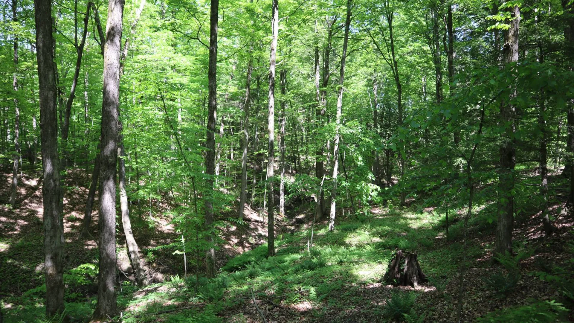 Property at 1162 Moore Rd, Greenwich, NY 12834 47