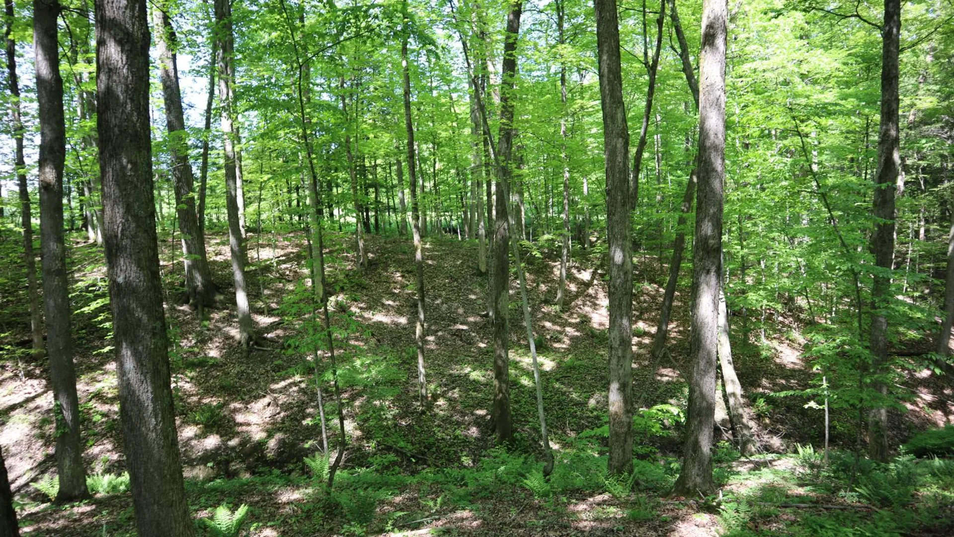 Property at 1162 Moore Rd, Greenwich, NY 12834 48