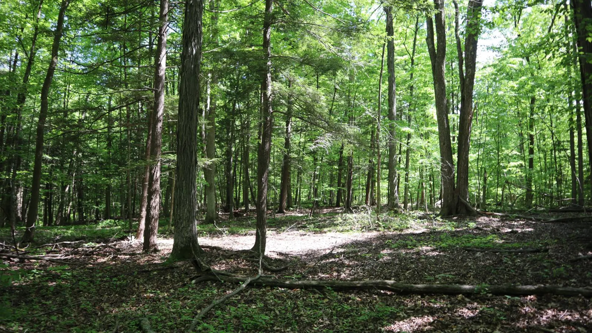 Property at 1162 Moore Rd, Greenwich, NY 12834 49