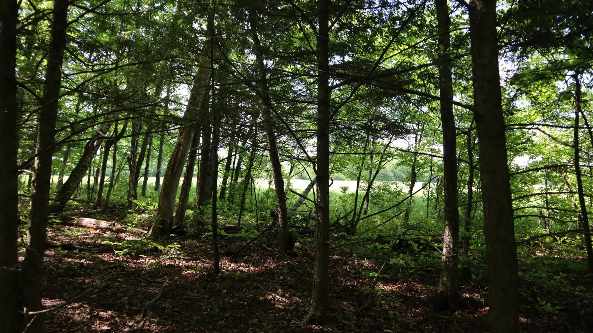Property at 1162 Moore Rd, Greenwich, NY 12834 57