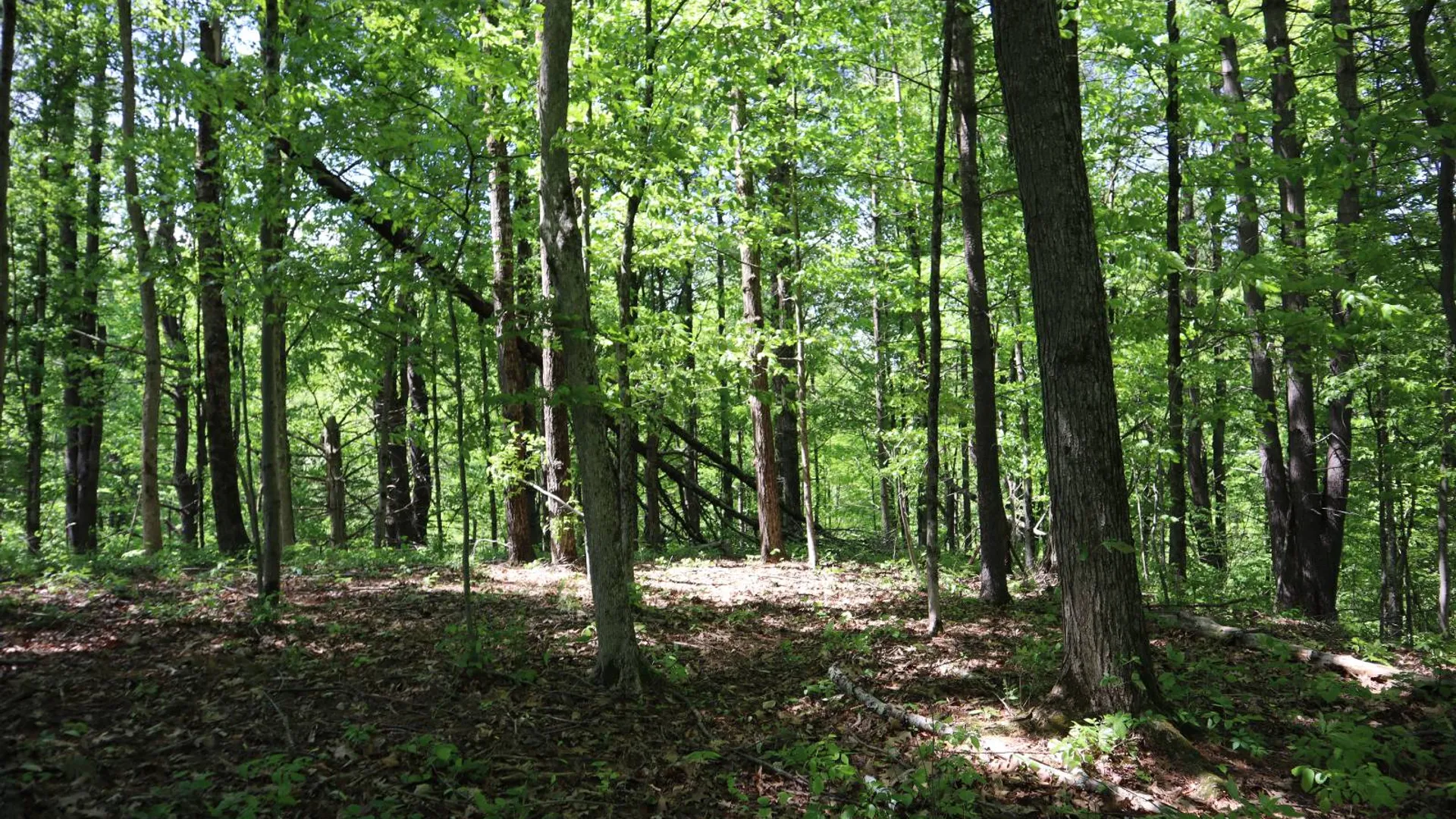 Property at 1162 Moore Rd, Greenwich, NY 12834 59