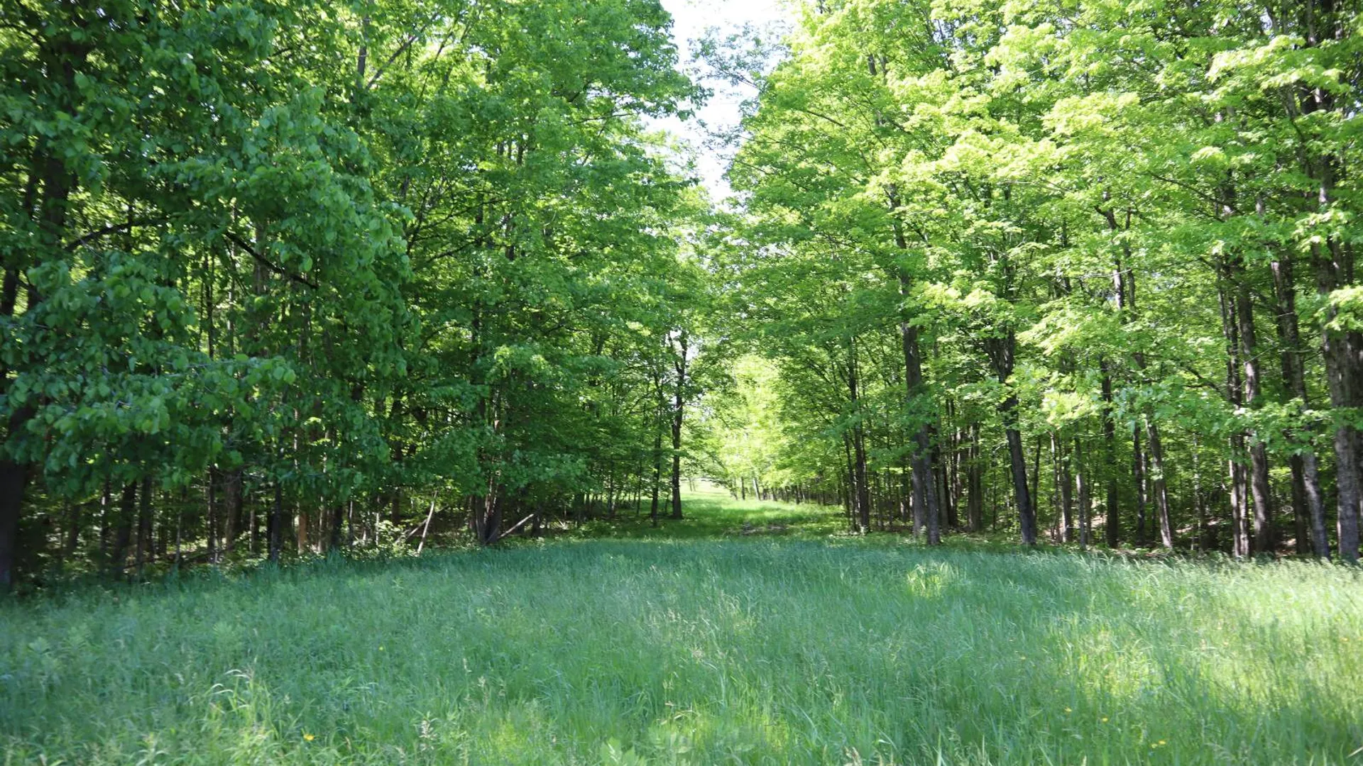 Property at 1162 Moore Rd, Greenwich, NY 12834 62