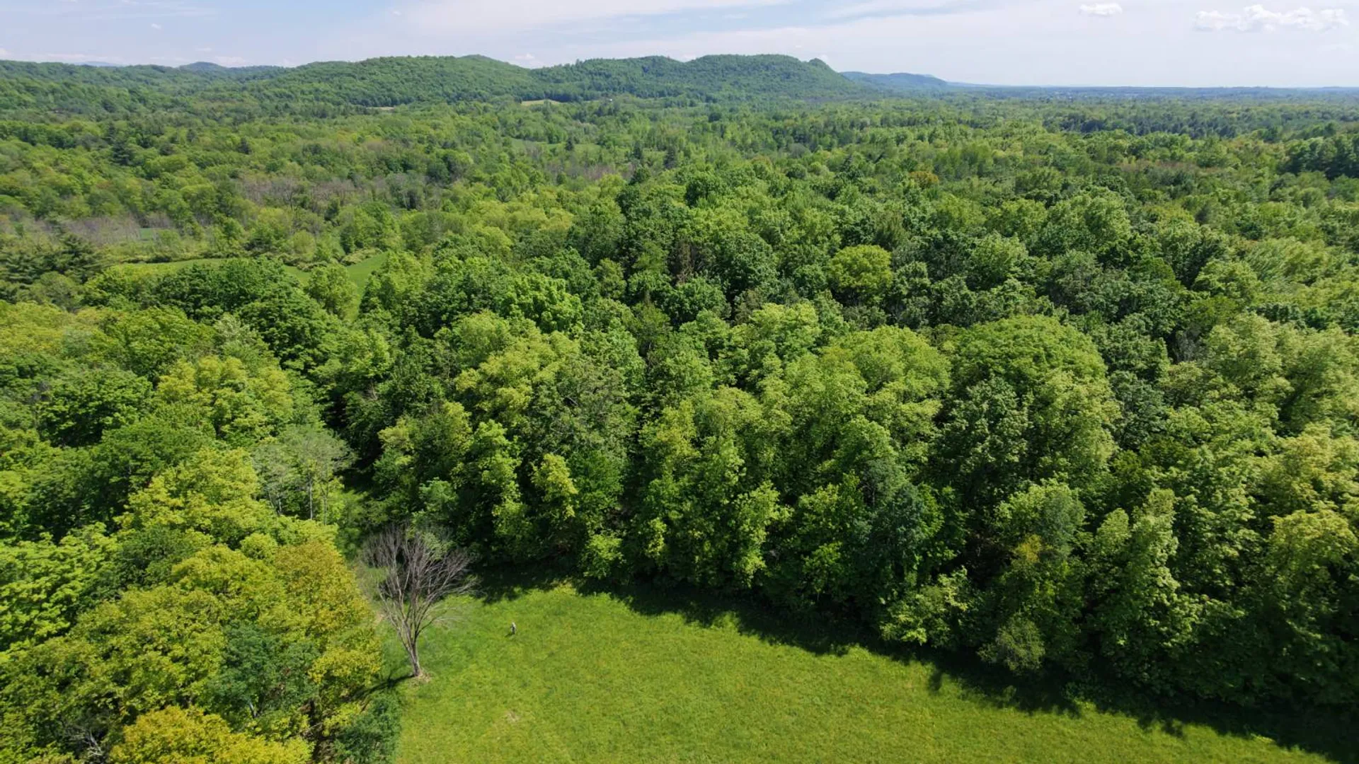 Property at 1162 Moore Rd, Greenwich, NY 12834 64