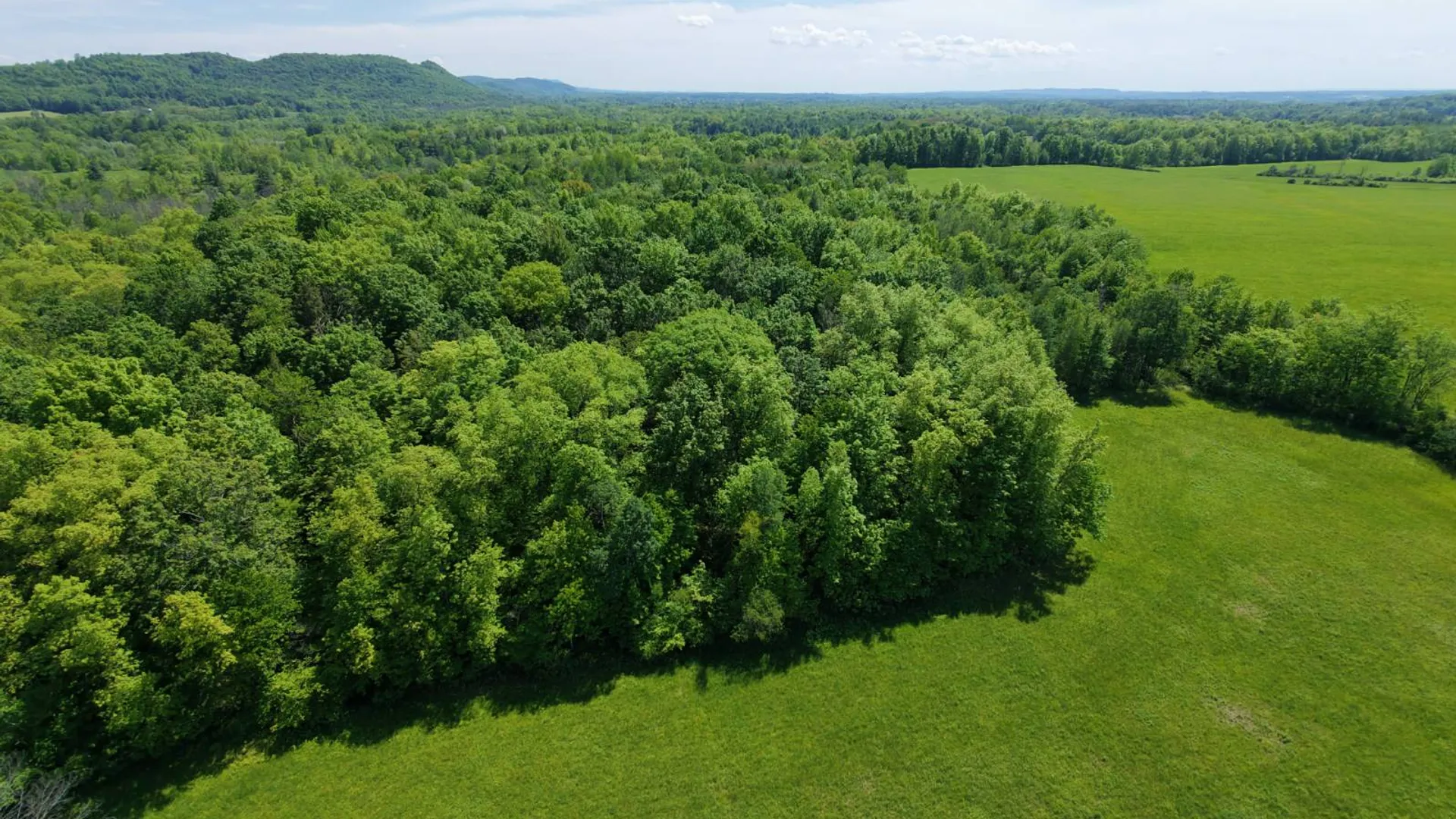 Property at 1162 Moore Rd, Greenwich, NY 12834 65