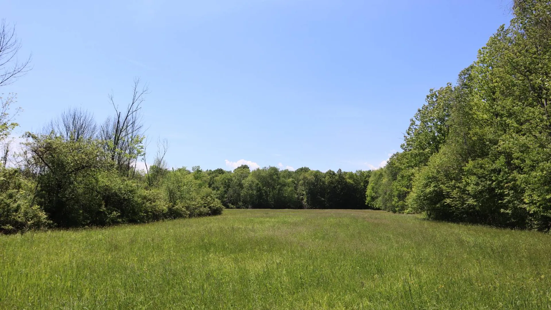 Property at 1162 Moore Rd, Greenwich, NY 12834 66