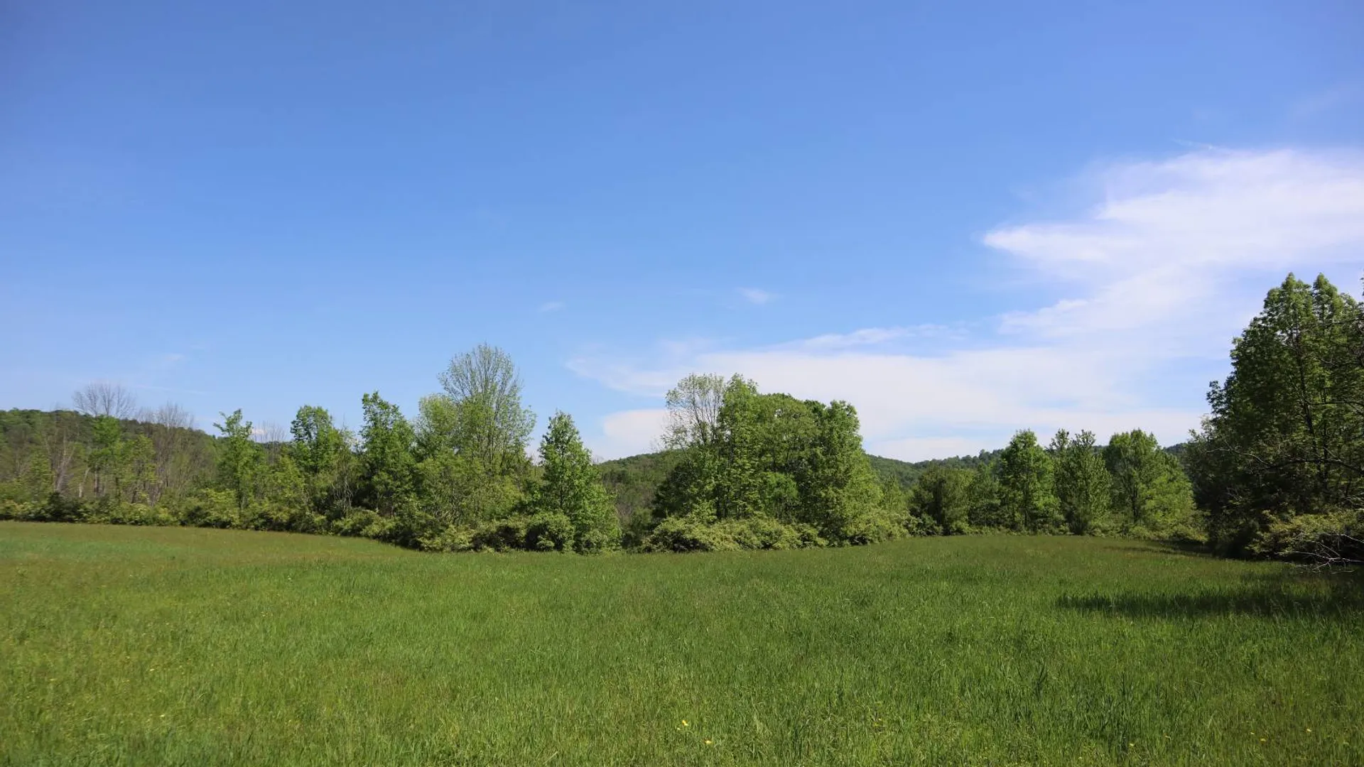 Property at 1162 Moore Rd, Greenwich, NY 12834 67