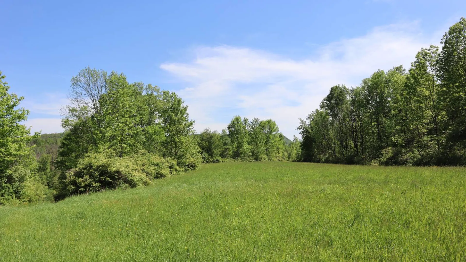 Property at 1162 Moore Rd, Greenwich, NY 12834 68
