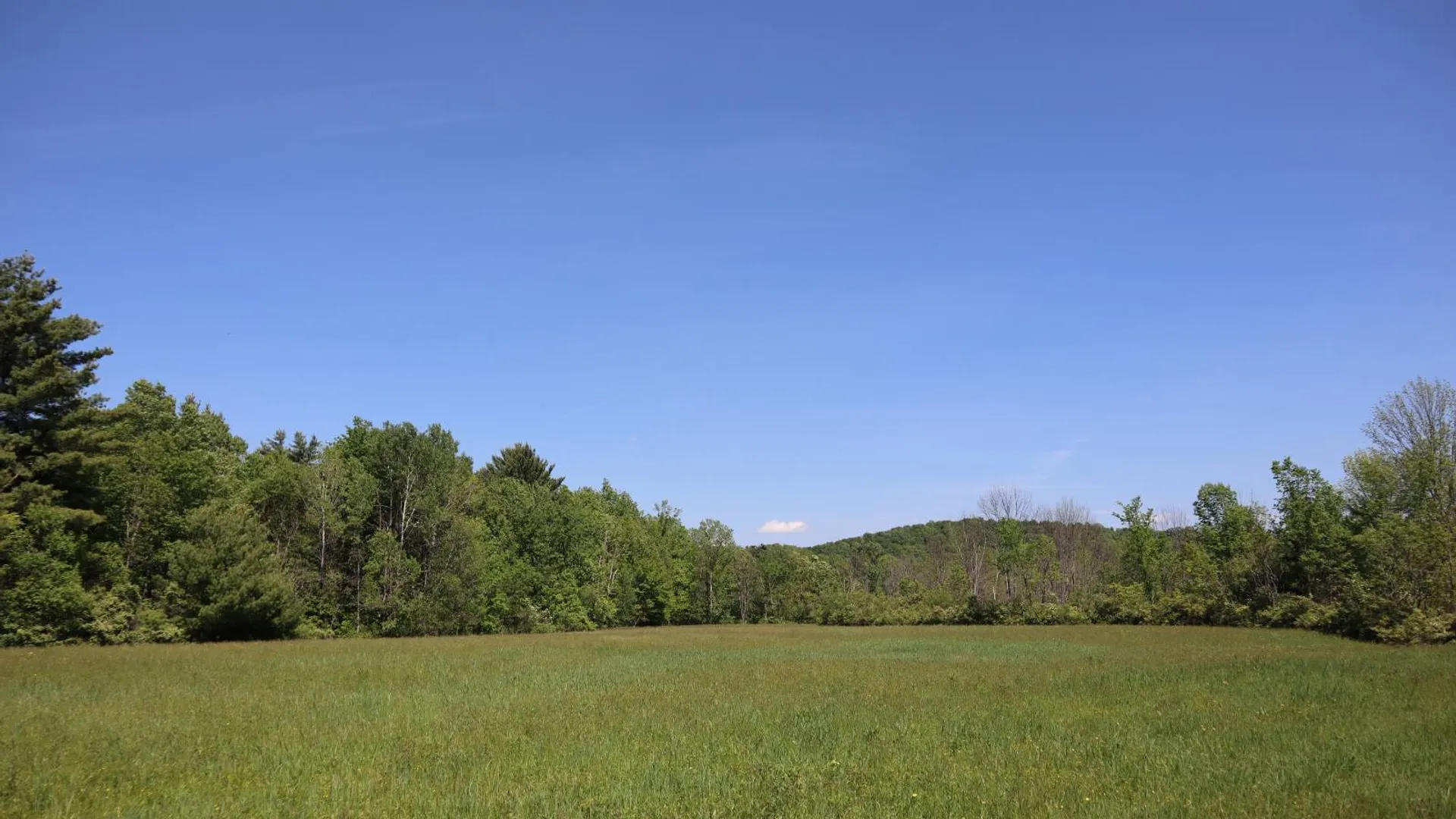 Property at 1162 Moore Rd, Greenwich, NY 12834 69