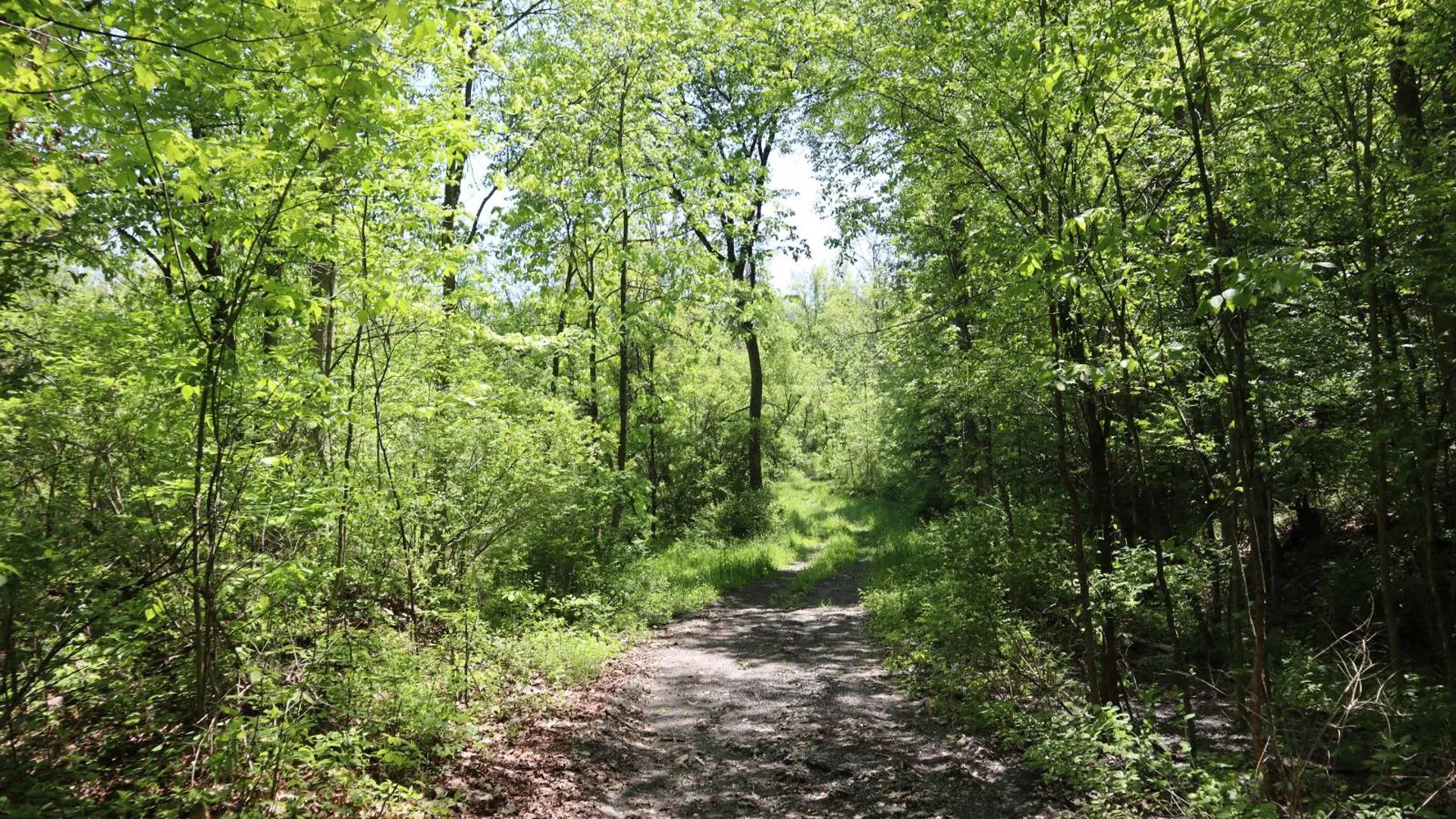 Property at 1162 Moore Rd, Greenwich, NY 12834 70