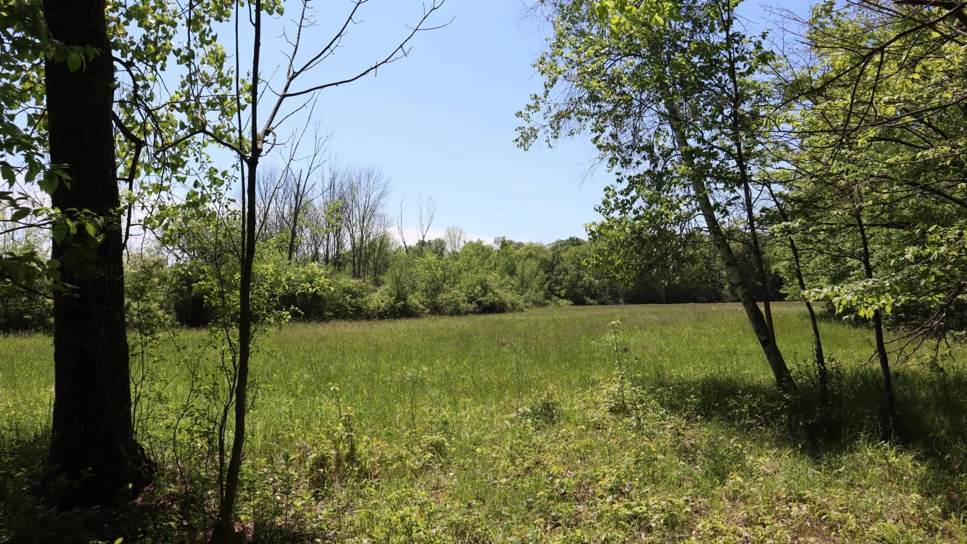 Property at 1162 Moore Rd, Greenwich, NY 12834 71