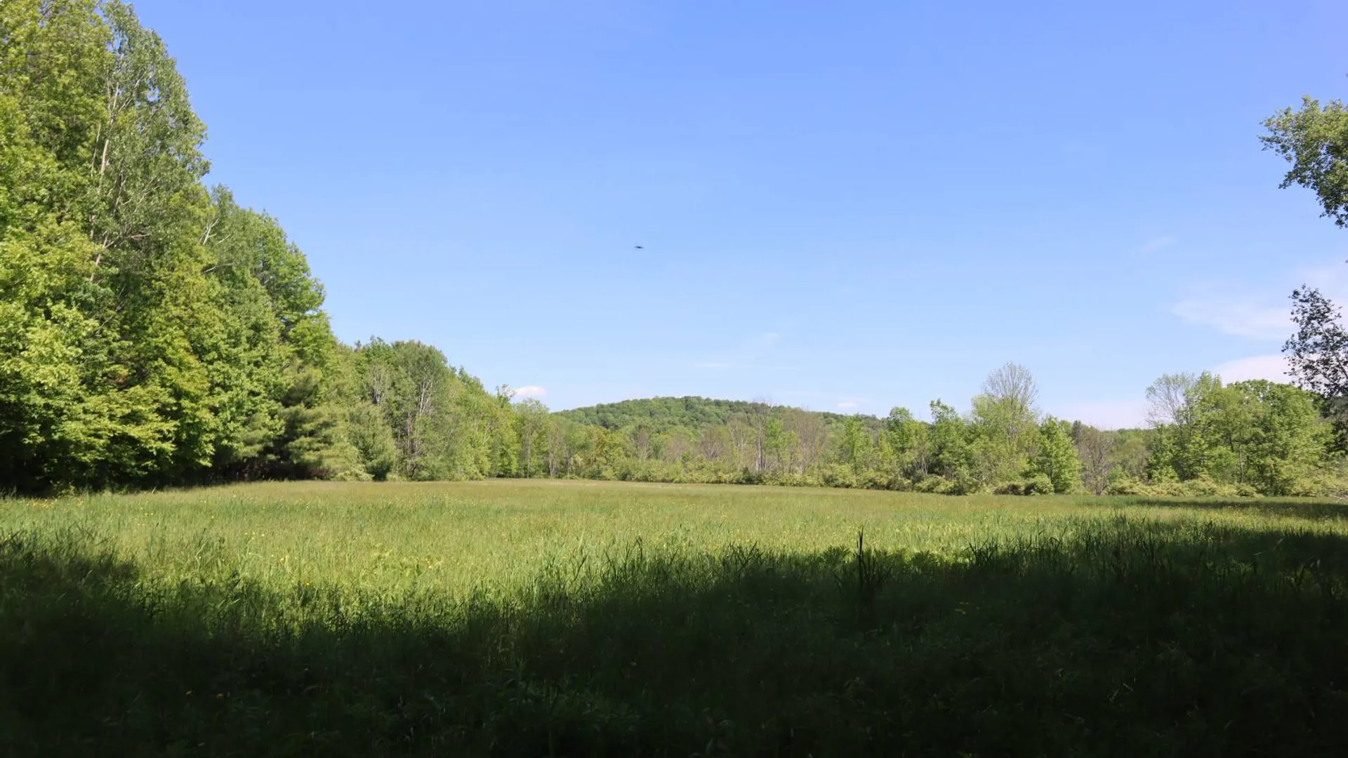 Property at 1162 Moore Rd, Greenwich, NY 12834 73