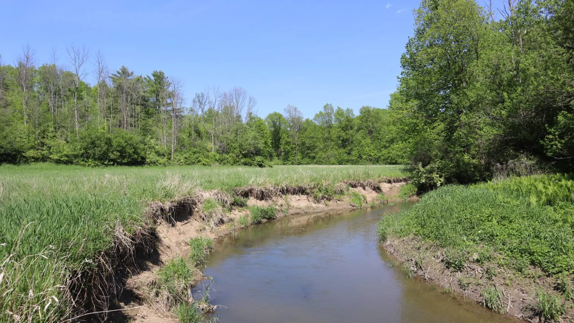 Property at 1162 Moore Rd, Greenwich, NY 12834 76