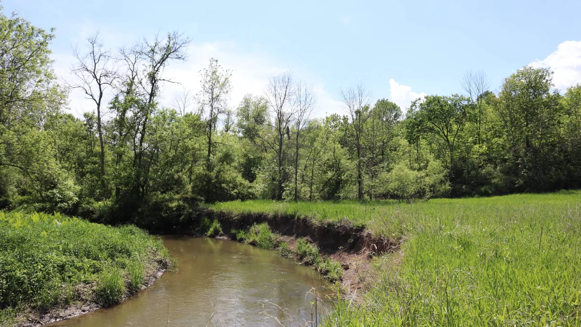 Property at 1162 Moore Rd, Greenwich, NY 12834 77