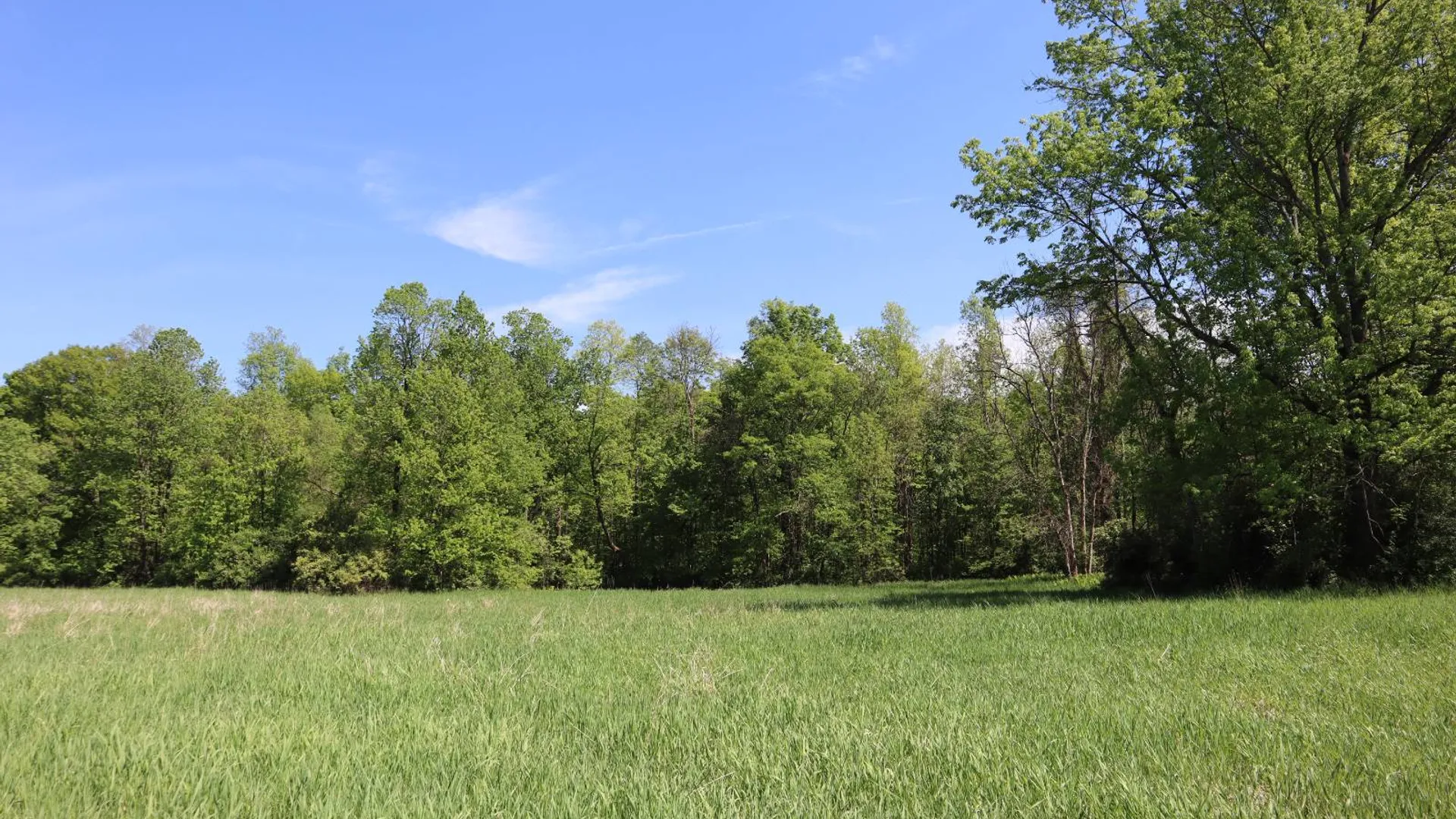 Property at 1162 Moore Rd, Greenwich, NY 12834 80