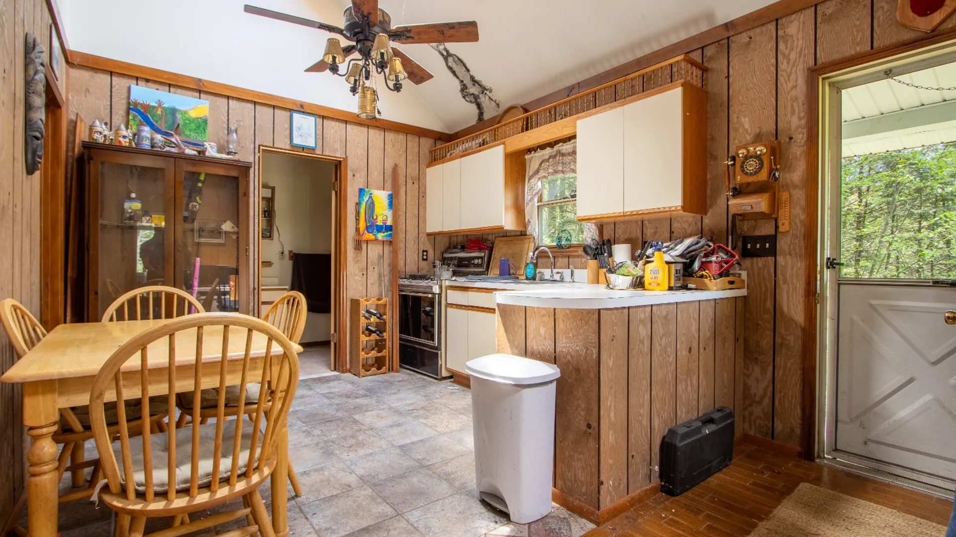 Property at 509 Thunder Rd, Deposit, NY 13754 14